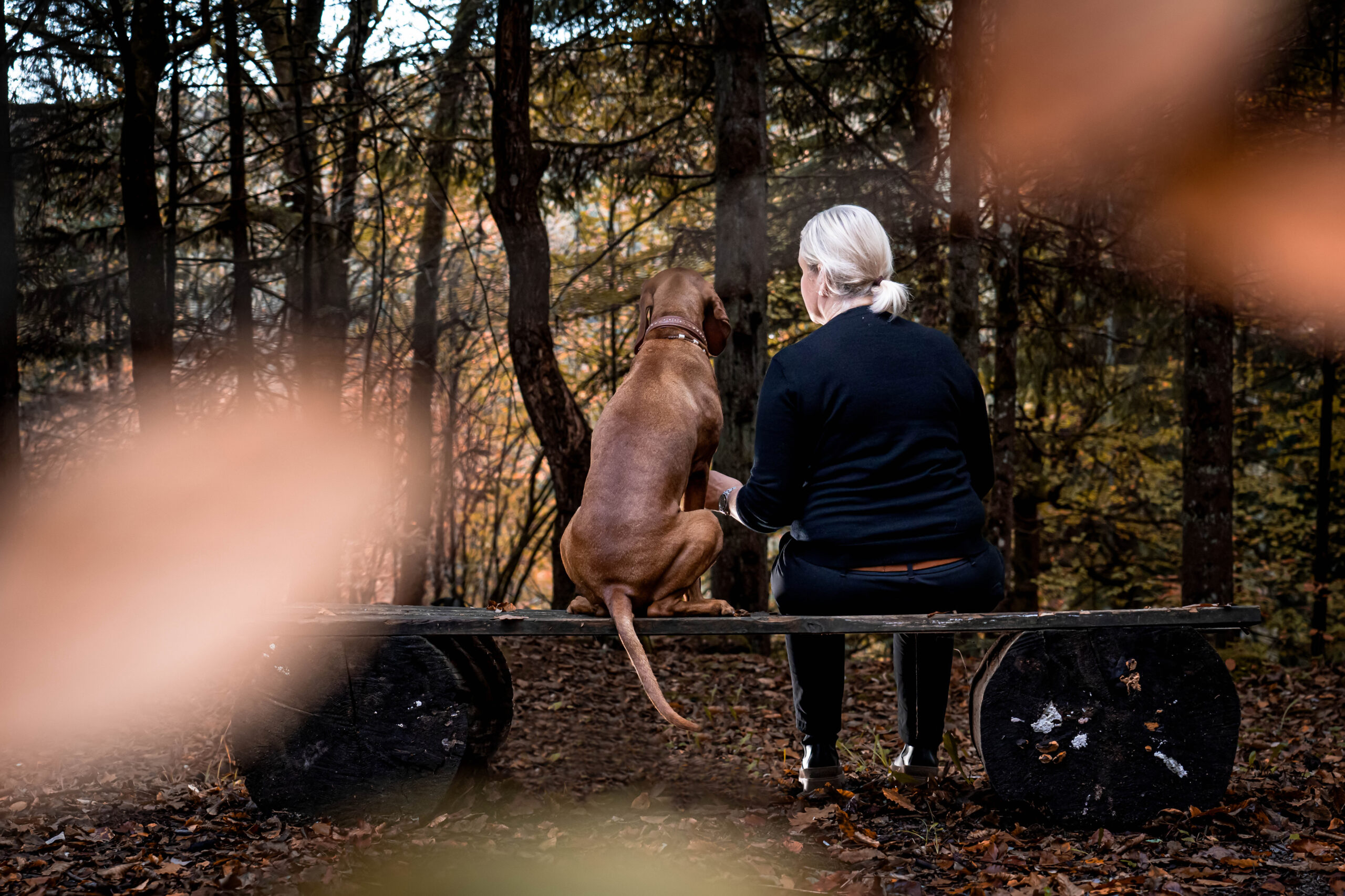 20221016_Daniela & Pepper_Fotoshooting -83_filtered
